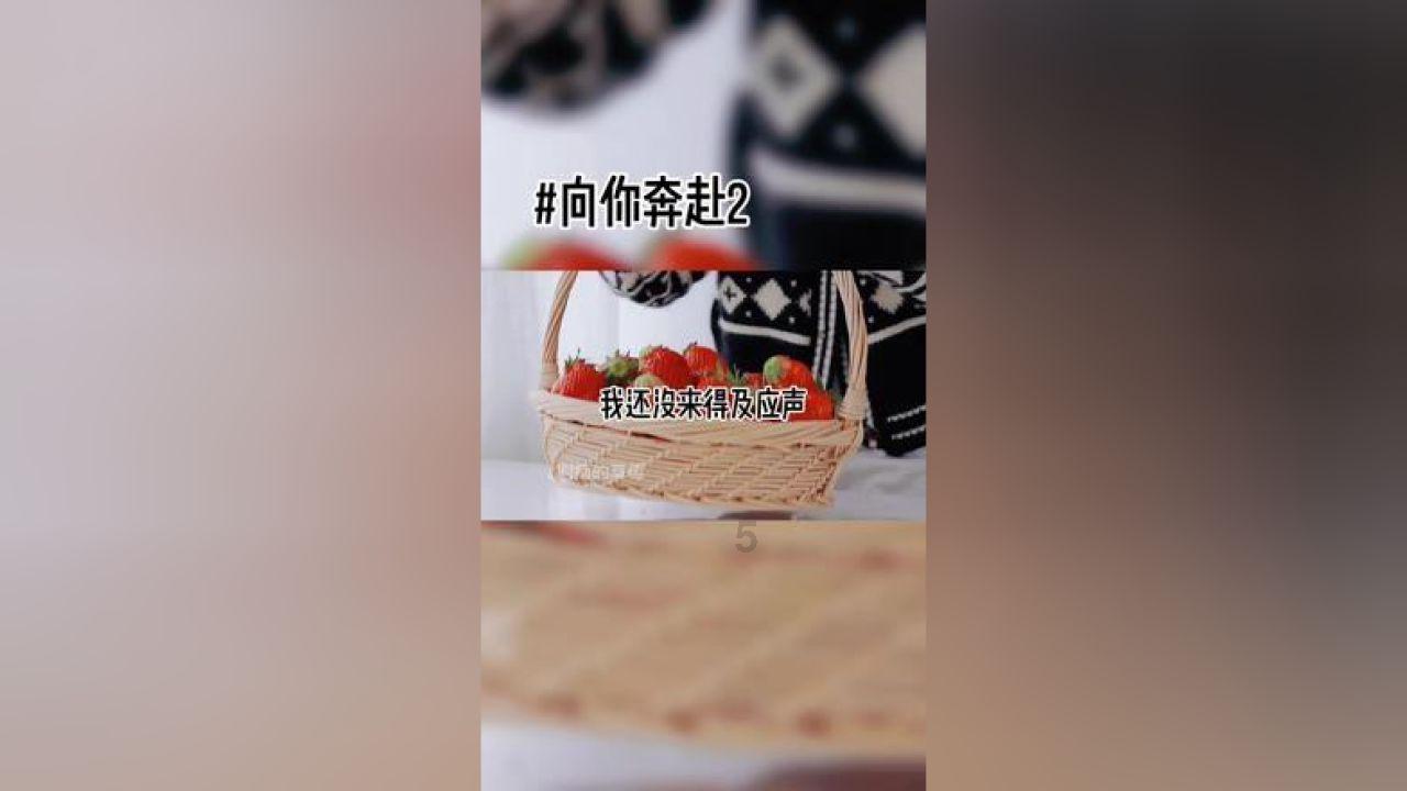 冷知识分享平台