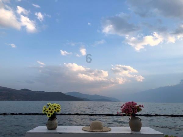 探索知识星球平台,发现